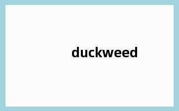 duckweed