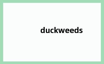 duckweeds
