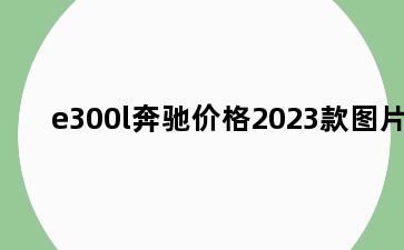 e300l奔驰价格2023款图片
