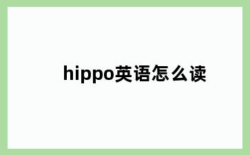 hippo英语怎么读