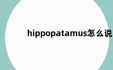 hippopatamus怎么说