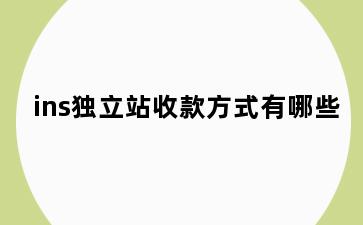 ins独立站收款方式有哪些
