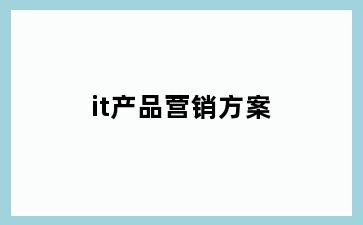 it产品营销方案