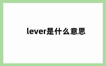 lever是什么意思