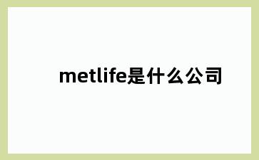metlife是什么公司