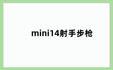 mini14射手步枪