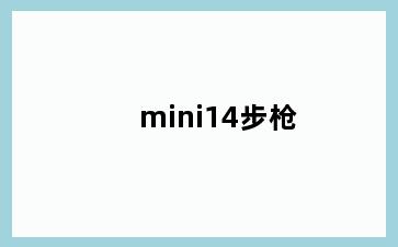 mini14步枪