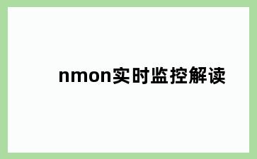 nmon实时监控解读