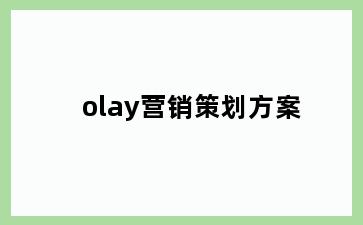 olay营销策划方案