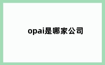 opai是哪家公司