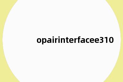 opairinterfacee310