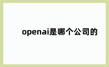openai是哪个公司的