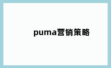 puma营销策略