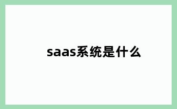 saas系统是什么