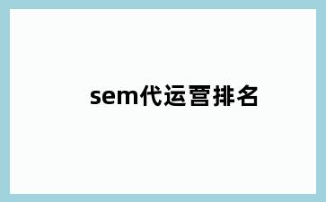 sem代运营排名