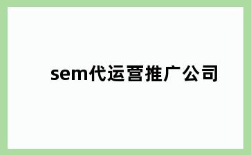 sem代运营推广公司