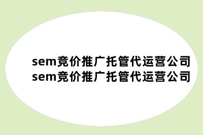 sem竞价推广托管代运营公司sem竞价推广托管代运营公司