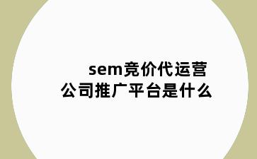 sem竞价代运营公司推广平台是什么