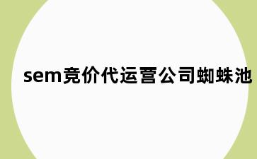sem竞价代运营公司蜘蛛池