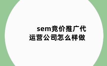 sem竞价推广代运营公司怎么样做