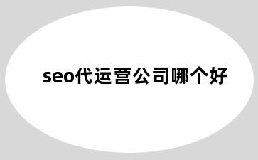 seo代运营公司哪个好