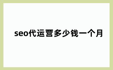 seo代运营多少钱一个月
