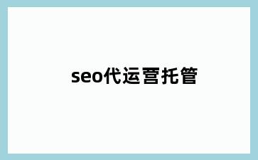 seo代运营托管