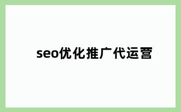 seo优化推广代运营