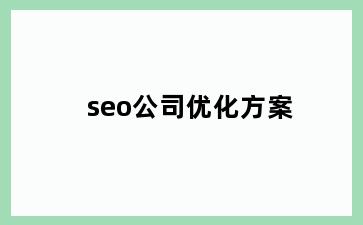 seo公司优化方案
