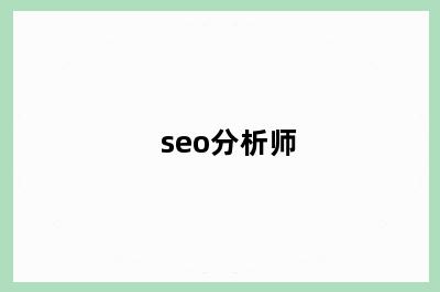 seo分析师