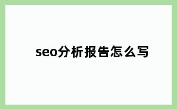 seo分析报告怎么写