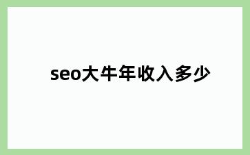 seo大牛年收入多少