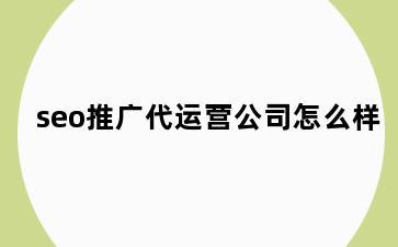 seo推广代运营公司怎么样