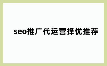 seo推广代运营择优推荐