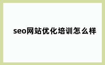 seo网站优化培训怎么样