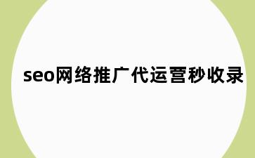 seo网络推广代运营秒收录