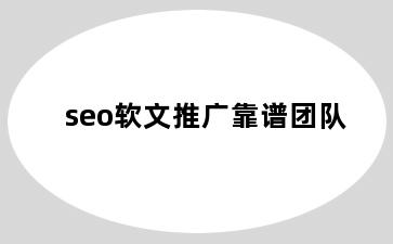 seo软文推广靠谱团队