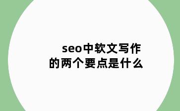 seo中软文写作的两个要点是什么