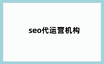 seo代运营机构