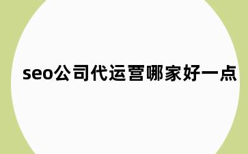 seo公司代运营哪家好一点