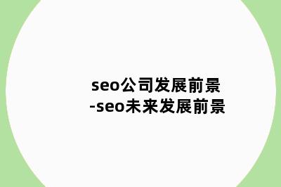 seo公司发展前景-seo未来发展前景
