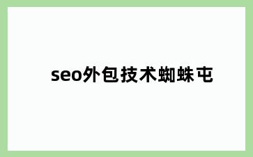 seo外包技术蜘蛛屯