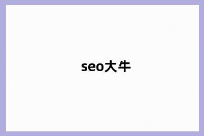 seo大牛