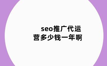 seo推广代运营多少钱一年啊