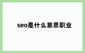 seo是什么意思职业