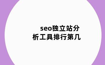 seo独立站分析工具排行第几