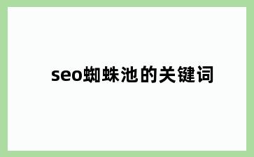 seo蜘蛛池的关键词
