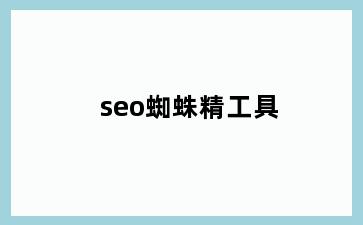 seo蜘蛛精工具