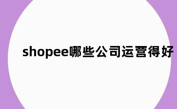 shopee哪些公司运营得好