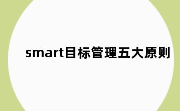 smart目标管理五大原则